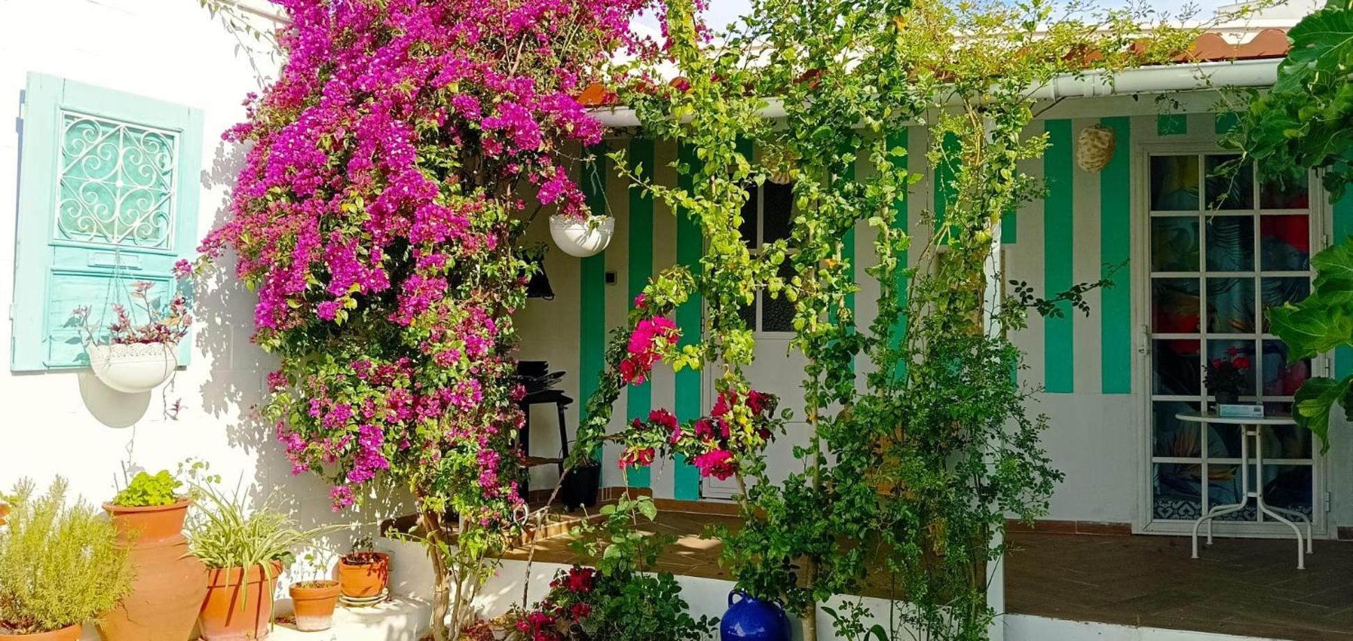 Casa Con Piscina Cerca De Sevilla Carrion de Los Cespedes エクステリア 写真