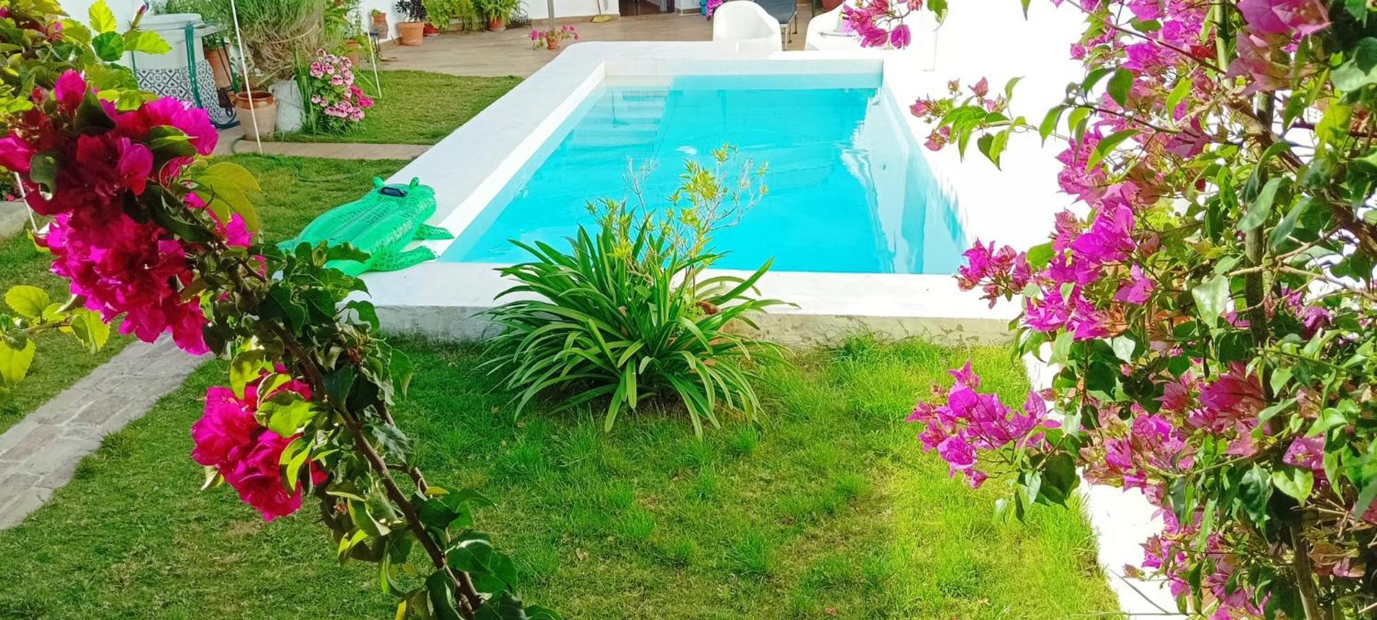 Casa Con Piscina Cerca De Sevilla Carrion de Los Cespedes エクステリア 写真